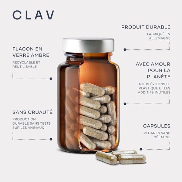 Zinc et énergie – Soutien du métabolisme et lutte contre la fatigue