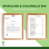 Effet anti-stress et équilibre nerveux – Spiruline et chlorelle riches en magnésium