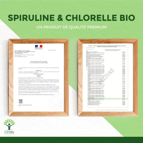 Effet anti-stress et équilibre nerveux – Spiruline et chlorelle riches en magnésium