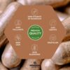 Zoom sur les gélules végétales d’Ashwagandha KSM-66® sans stéarate de magnésium