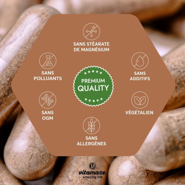 Zoom sur les gélules végétales d’Ashwagandha KSM-66® sans stéarate de magnésium